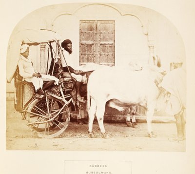 Guddees, Musulmanes, Rajpootana, de The People of India, por J. Forbes Watson, publicado en 1868 de English Photographer